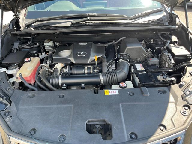 LEXUS NX300