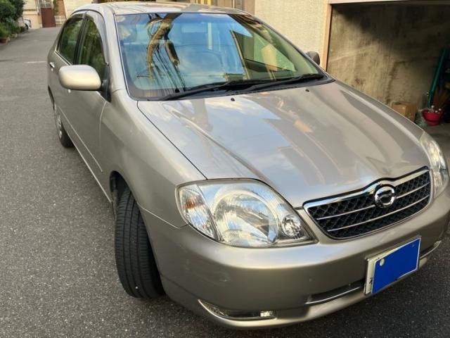 COROLLA sedan
