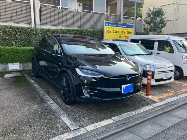 TESLA MODEL X