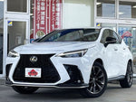 LEXUS NX350h