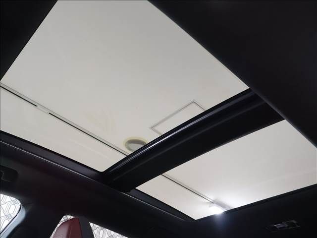 LEXUS RX500h
