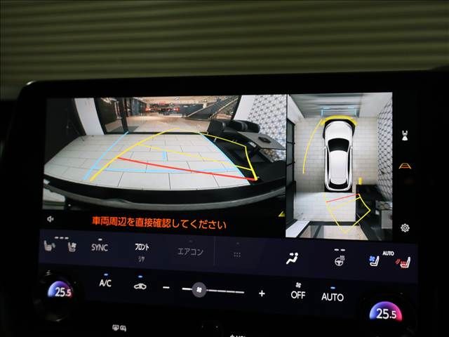 LEXUS RX500h