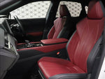 LEXUS RX500h