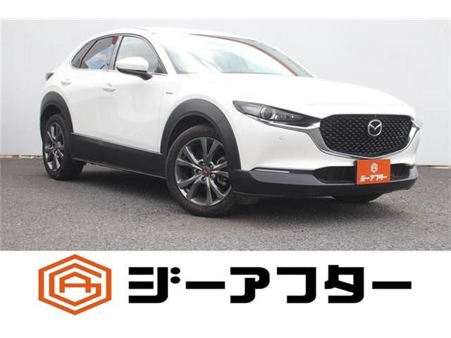 CX-30