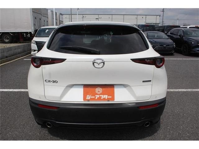 CX-30