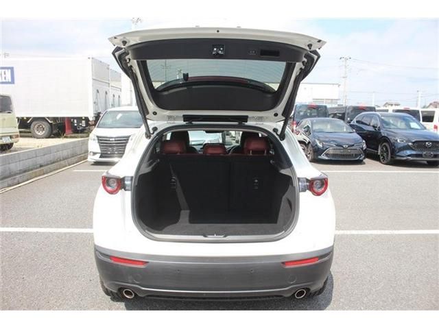 CX-30