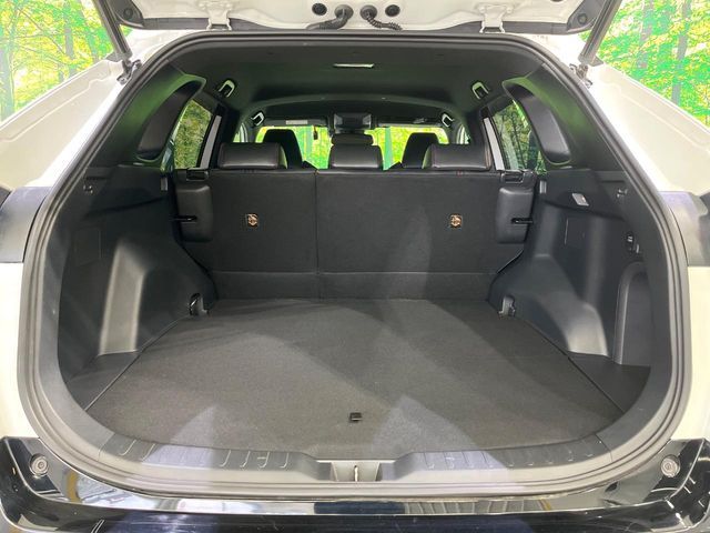 RAV4 PHV