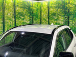 RAV4 PHV