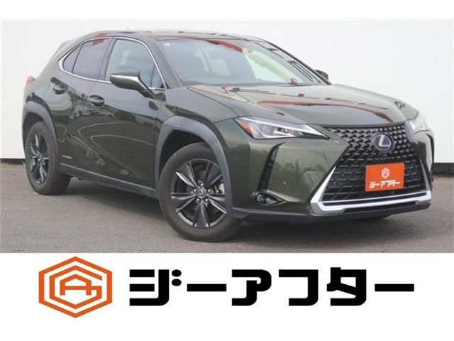 LEXUS UX250h