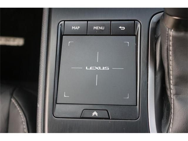 LEXUS UX250h