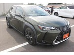 LEXUS UX250h