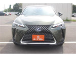 LEXUS UX250h