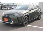 LEXUS UX250h