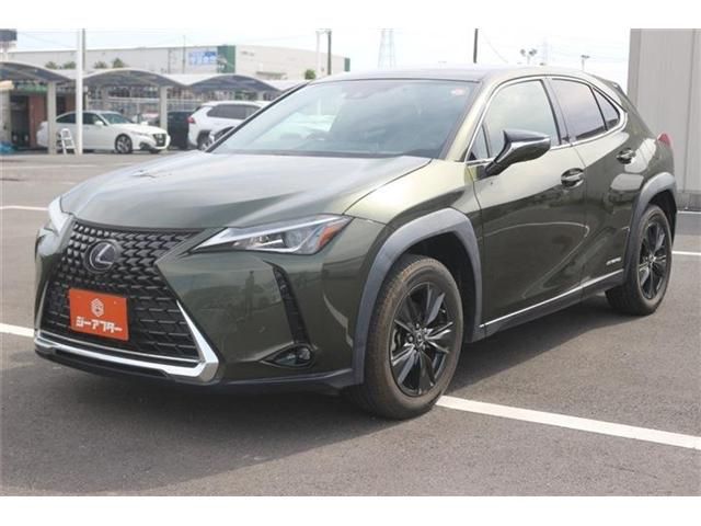 LEXUS UX250h
