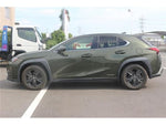 LEXUS UX250h