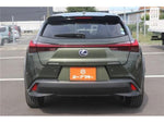 LEXUS UX250h