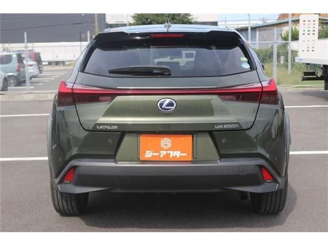 LEXUS UX250h