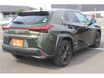 LEXUS UX250h