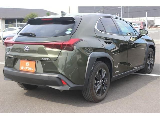 LEXUS UX250h