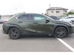 LEXUS UX250h