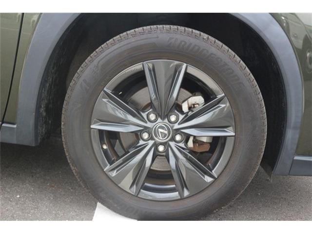 LEXUS UX250h