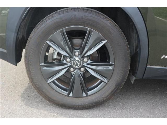 LEXUS UX250h