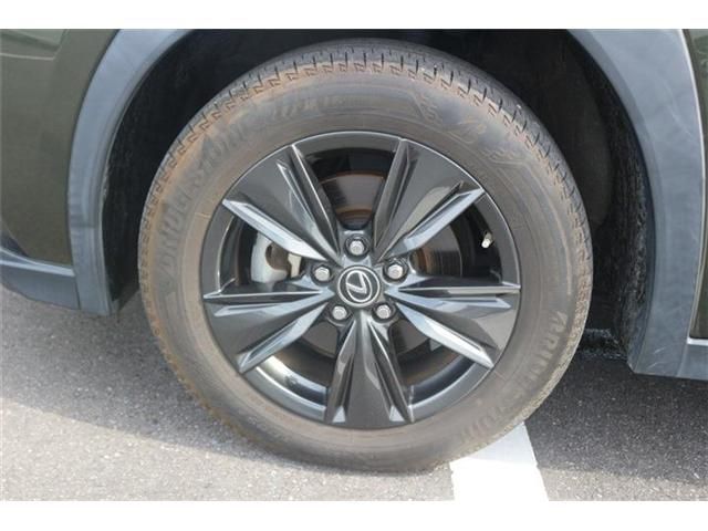 LEXUS UX250h