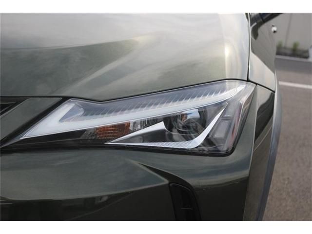 LEXUS UX250h