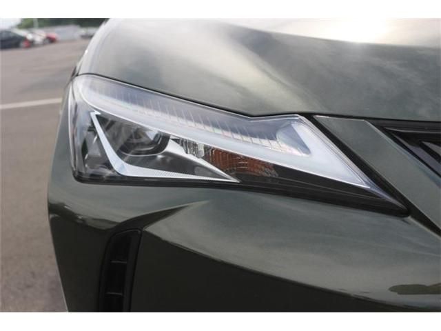 LEXUS UX250h