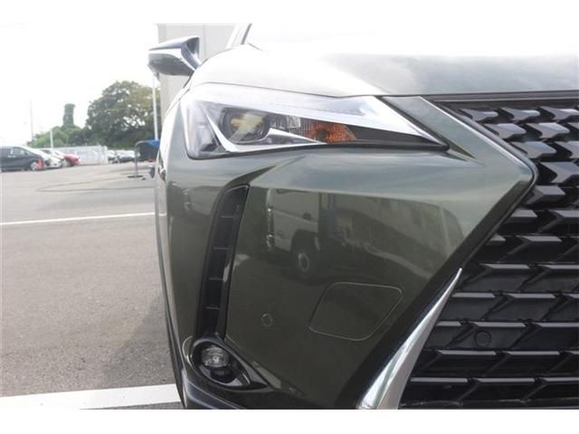 LEXUS UX250h