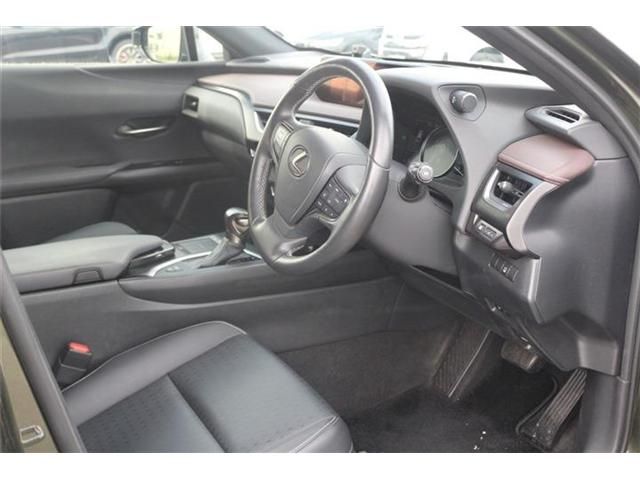 LEXUS UX250h