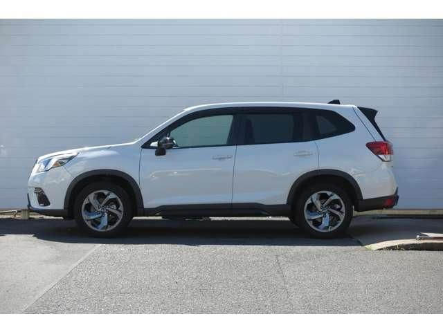 FORESTER