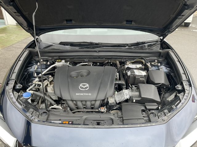 CX-30