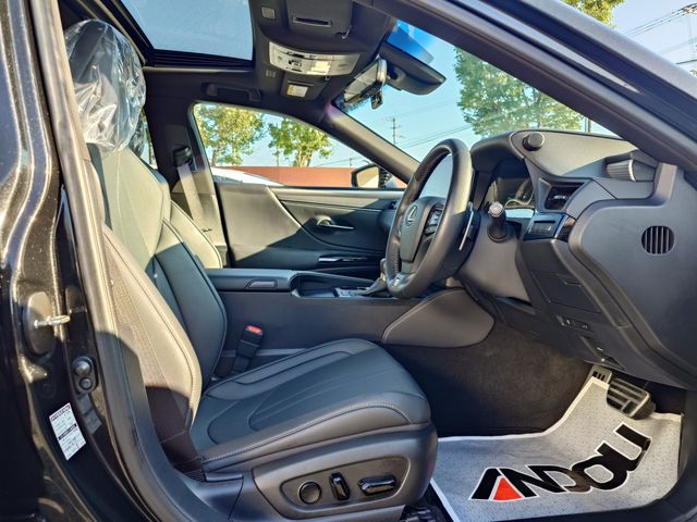 LEXUS ES300h