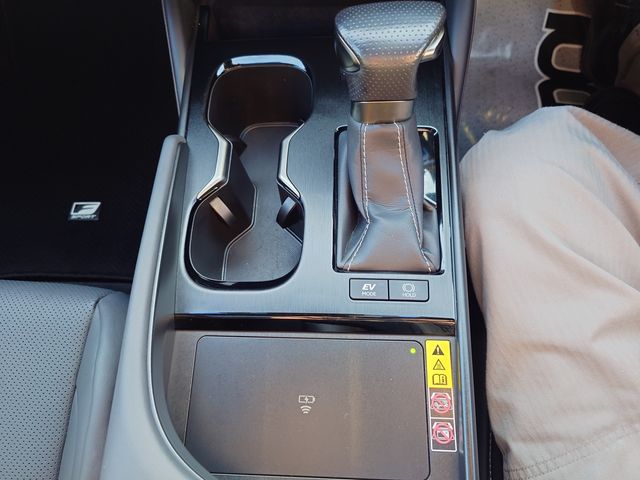 LEXUS ES300h