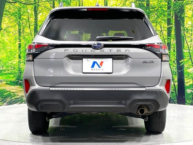 FORESTER