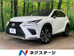 LEXUS NX300