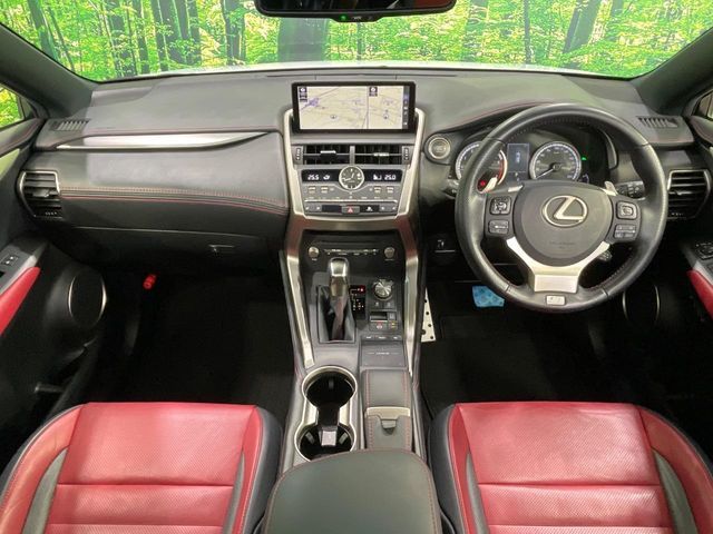 LEXUS NX300