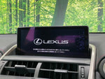 LEXUS NX300