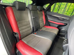LEXUS NX300