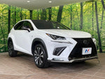 LEXUS NX300