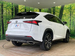 LEXUS NX300