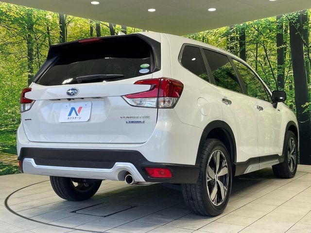 FORESTER