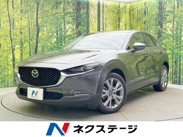 CX-30