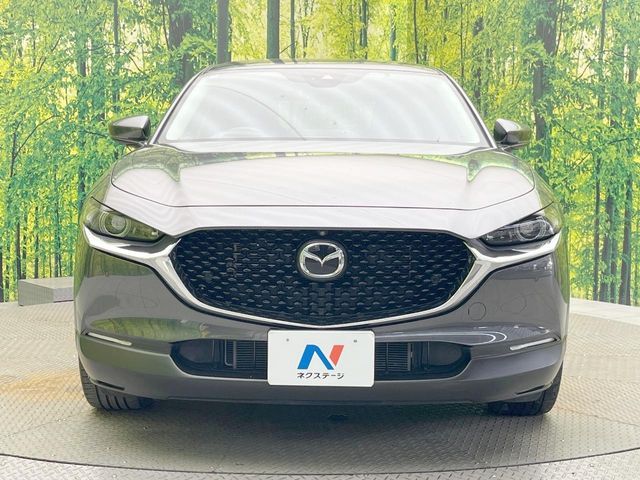 CX-30