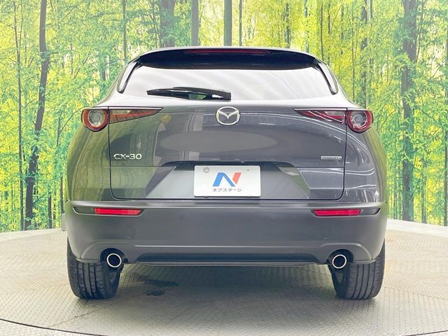 CX-30