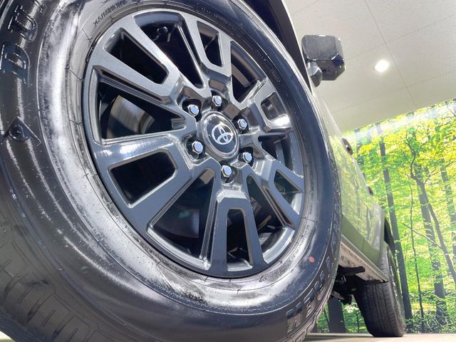 LANDCRUISER 250