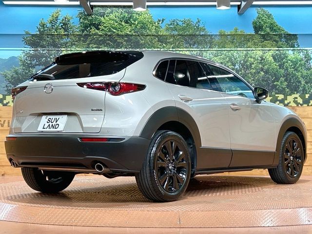 CX-30