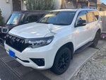 LANDCRUISER PRADO
