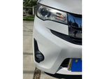 eK custom
